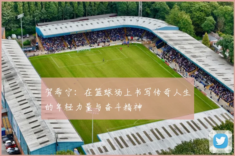 贺希宁：在篮球场上书写传奇人生的年轻力量与奋斗精神