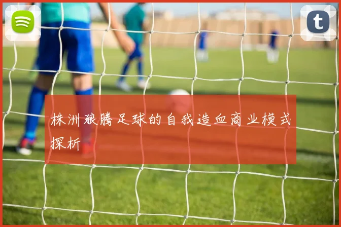 株洲狼腾足球的自我造血商业模式探析