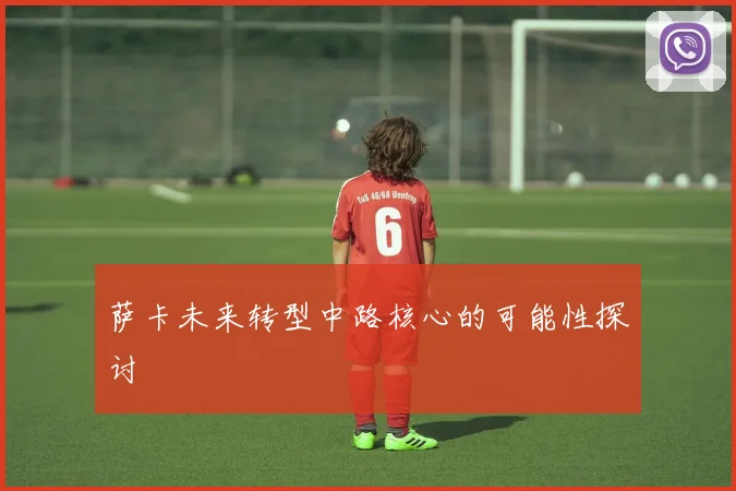 萨卡未来转型中路核心的可能性探讨